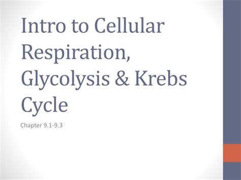 ATP Intro To Cellular Respiration