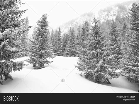 Black White Winter Image & Photo (Free Trial) | Bigstock