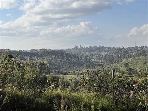 Farmland in Kikuyu Town in Kiambu County Kenya Stock Photo - Image of nairobi, kenya: 254130728