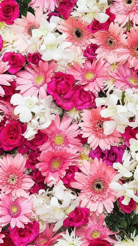 wallpaper floral pink 1