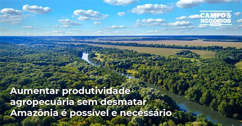 Aumentar produtividade agropecuária sem desmatar Amazônia é possível e