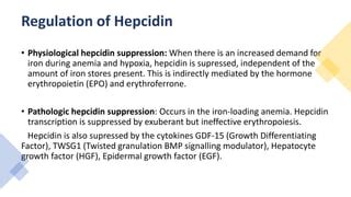 Hepcidin - Regulation and its role in Iron metabolism | PPT