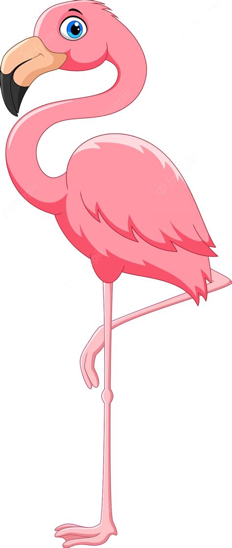 Premium Vector | Cartoon pink flamingo bird