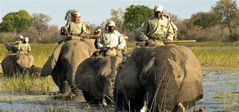 Botswana safari tour: delightful touring experience | Round Botswana Tours