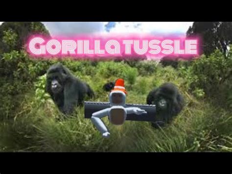 Playing G Tag Knockoffs Part Gorilla Tussle YouTube