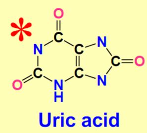 Urea Cycle: Averting Ammonia Toxicity Flashcards | Quizlet