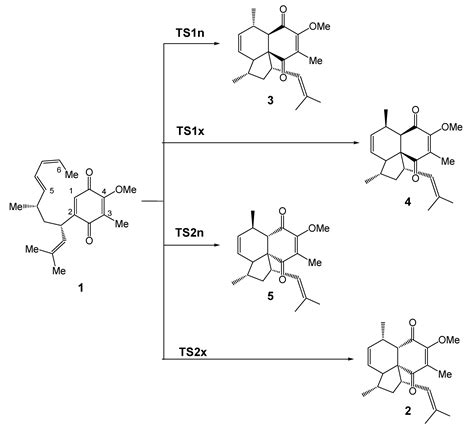 Molecules Free Full Text On The Catalytic Effect Of Water In The