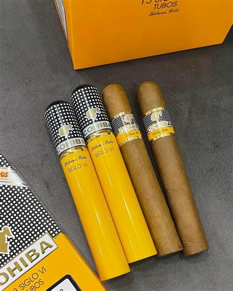 Xì gà Cohiba Siglo 6 VI Tubos Điếu lẻ XigaNo1