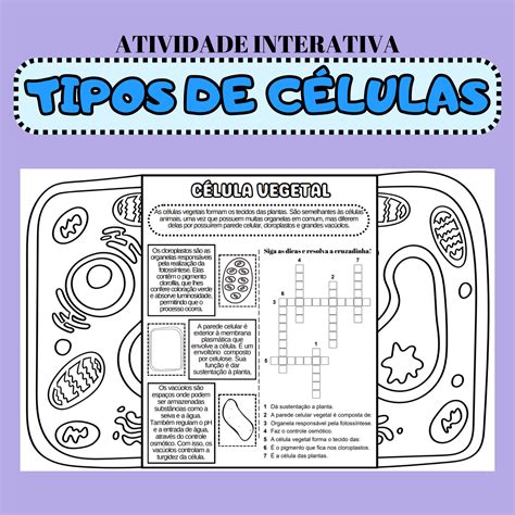 Atividades Sobre Células 5 Ano Com Gabarito