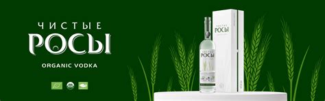 AST — Alcohol Service Technologies