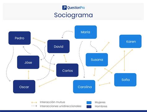 Qué es un sociograma y cómo crearlo