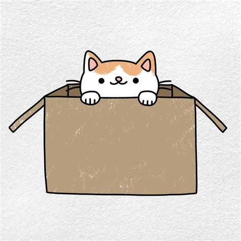 How To Draw A Cat In A Box Helloartsy