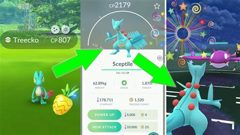 Treecko Community Day Evolving Shiny Treecko Into Shiny Sceptile