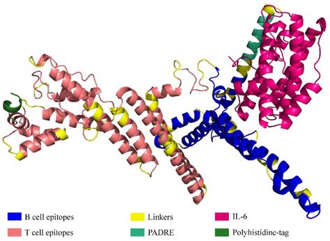 Tertiary Structure Of The Protein Comprising Multiple Epitopes