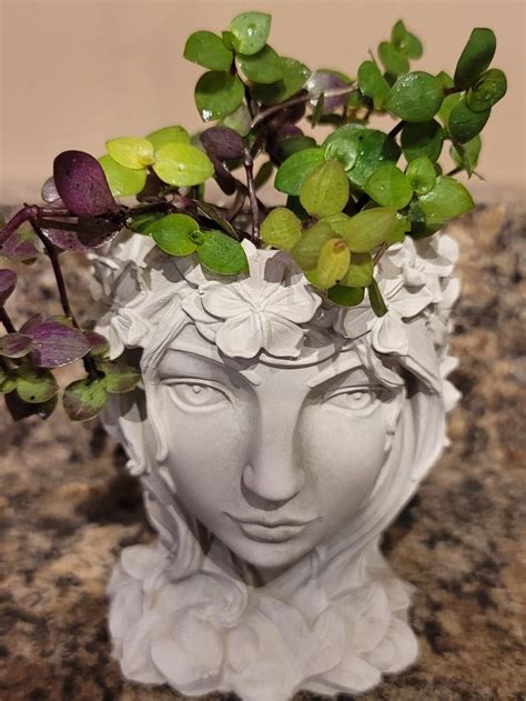 Fairy Goddess Concrete Head Planter Cement Pot Face Planter For Cacti