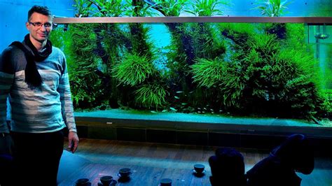 Takashi Amano Aquarium Portugal : it looks so easy.. | Aquascape ...