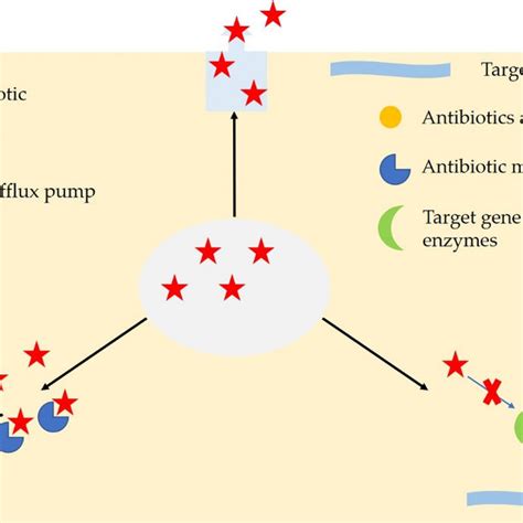 Common mechanisms of microbial resistance. | Download Scientific Diagram