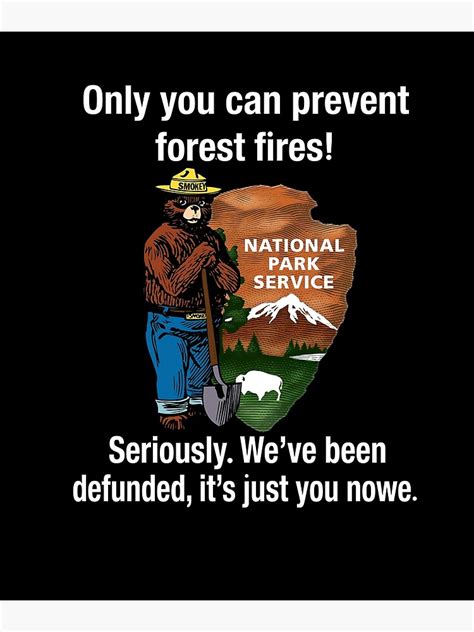 Smokey Bear Only You Can Prevent Forest Fires National Poster By