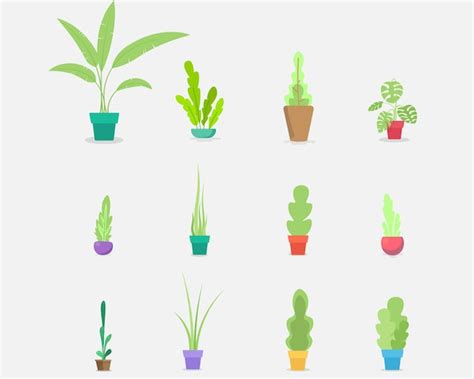 Premium Vector Vector Big Set Of Houseplant In Pot Vector Flat Style