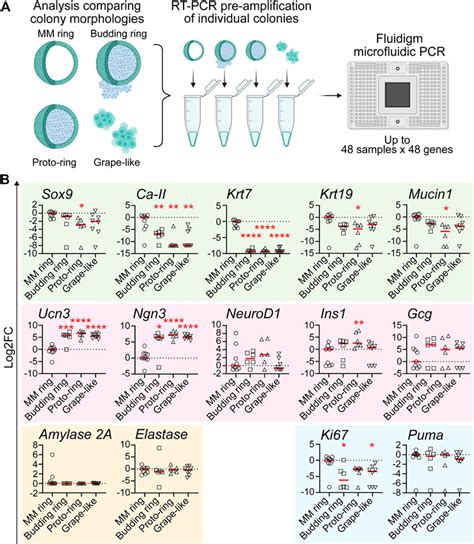 Frontiers A Matrigel Free Method For Culture Of Pancreatic Endocrine