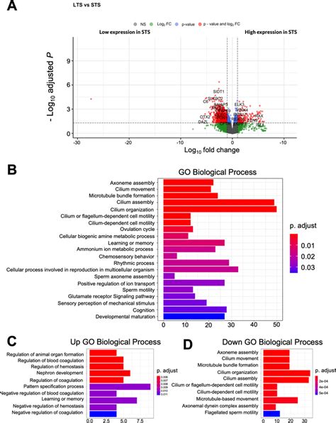 A Volcano Plot Showing Degs For Sts Vs Lts Samples B Overall Go