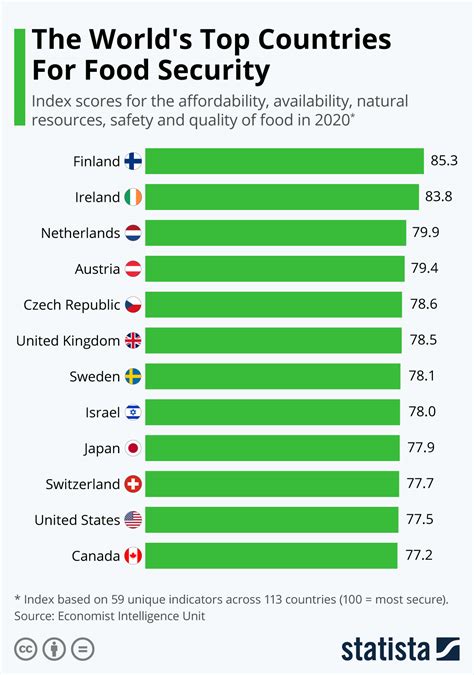 The Worlds Top Countries For Food Security Infographic