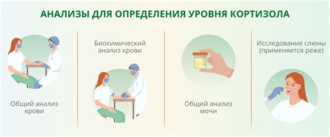 В чем риск повышенного кортизола? Какие симптомы должны насторожить ...