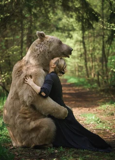 2 Bear Hug Wtf In 2022 Bear Hug Bear Hug