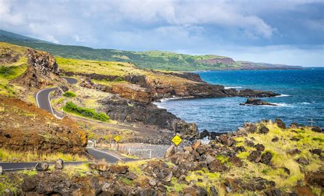 Haleakala Downhill Bike Cruise Excursion in Kahului