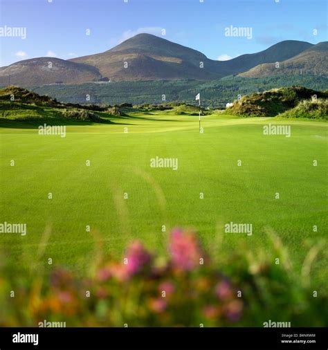 Royal County Down Golf club Newcastle Northern Ireland with Mourne ...