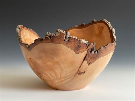 Willow Burl Natural Edge Bowl American Association Of Woodturners