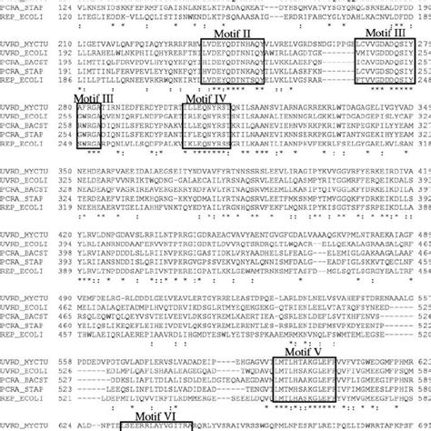 Amino Acid Sequence Alignment Of M Tuberculosis Uvrd E Coli Uvrd B