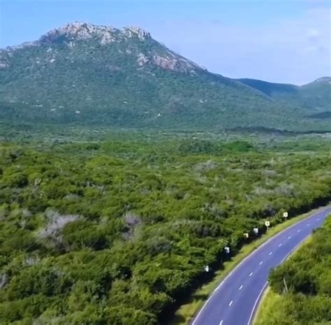 Alugar Carro Em Cura Ao Vale A Pena