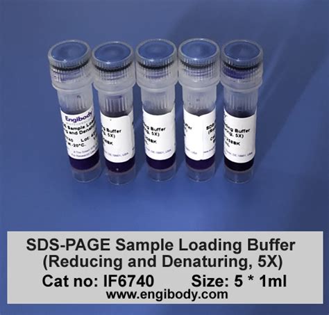 Sds Page Sample Loading Buffer Reducing And Denaturing X