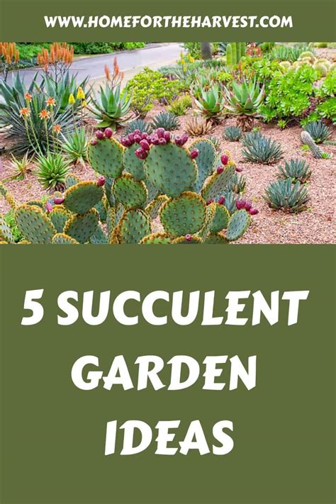 Succulent Garden Ideas Unlock The Beauty Of Drought Tolerant Designs