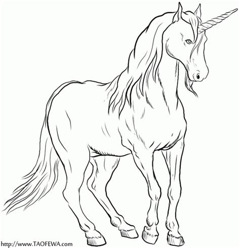 Realistic Unicorn Coloring Pages Love Coloring Hot Sex Picture