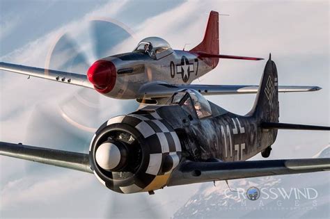 Warbirds in Action: FW 190 and P-51 Mustang