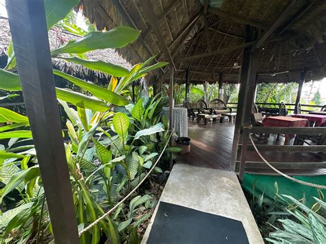 A Relaxing Getaway Review Of Wasai Maldonado Eco Lodge Puerto