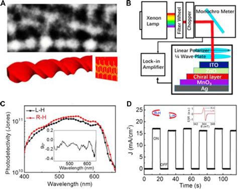 Frontiers Circularly Polarized Photodetectors Based On Chiral Materials A Review