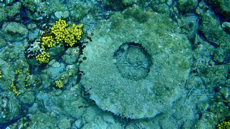 Underwater ancient Greek ruins Photo from Alikanas in Zakynthos ...