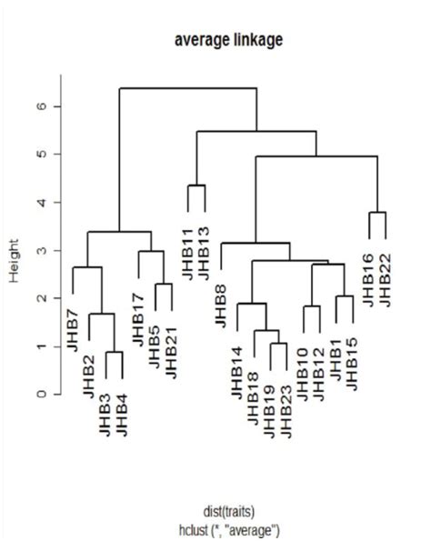 Hierarchical Clustering Using Average Linkage Method On Morphometric