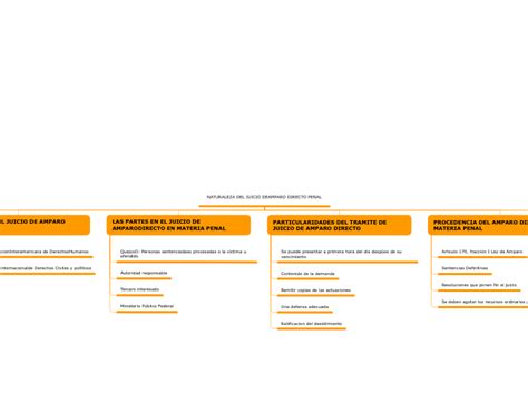 Naturaleza Del Juicio Deamparo Directo Pen Mind Map