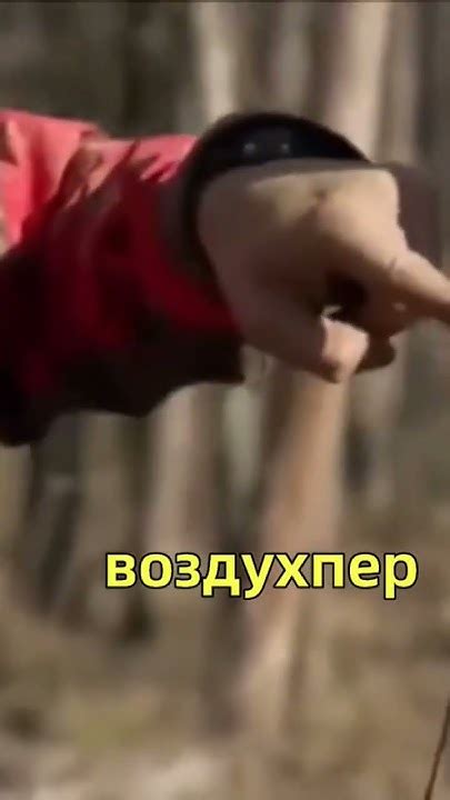 Эффективная ловушка для кабана. - YouTube