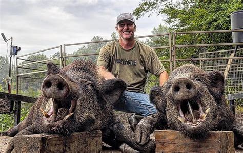 Meet Mississippis Yawt Yawt A Wild Pigs Nightmare And Hunting Legend