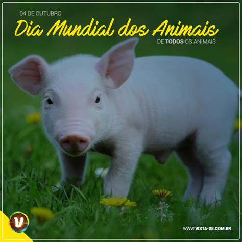 Blogue Da Natureza Em Forma De Outubro Dia Mundial Dos Animais