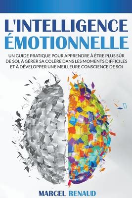 L Intelligence Motionnelle Un Guide Pratique Pour Apprendre Tre