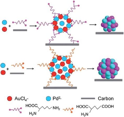 6 Schematic representation of the synthesis protocol of amino acidbased ...