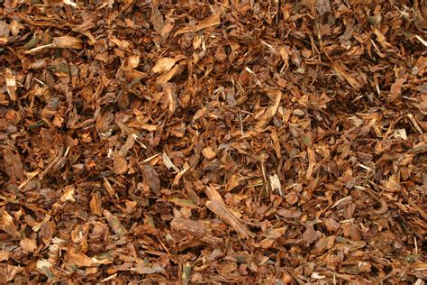 Will Cedar Mulch Repel Termites Ehow