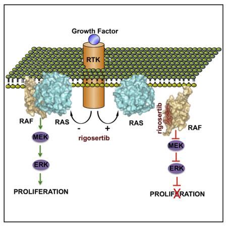 A Small Molecule Ras Mimetic Disrupts Ras Association With Effector