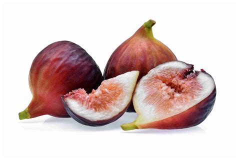 Fig Trees For Sale Online PlantNet Australia